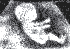 dstrick8's Avatar
