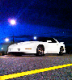 Greatwhitet/a's Avatar