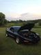 84MONTESS's Avatar
